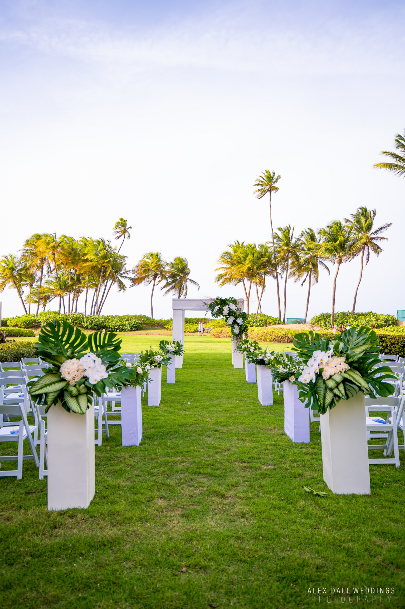 ALEXDALIWEDDINGS.COM